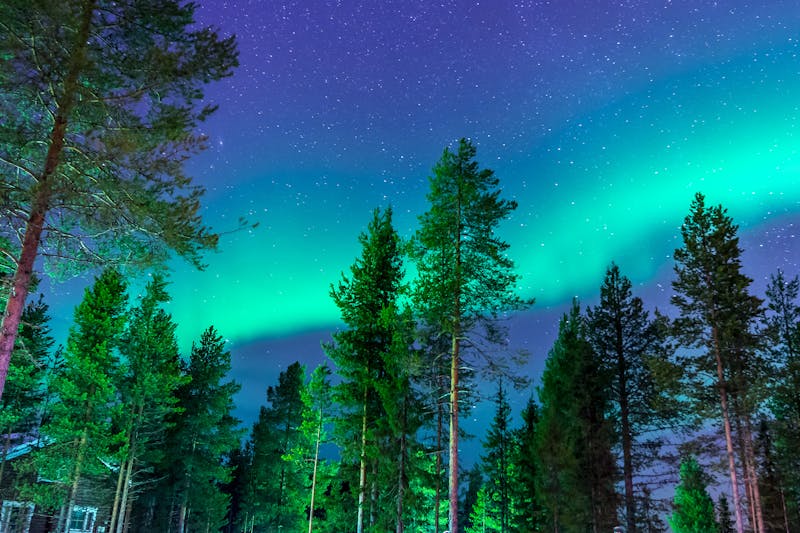 Aurora above a forested Swedish landscape
